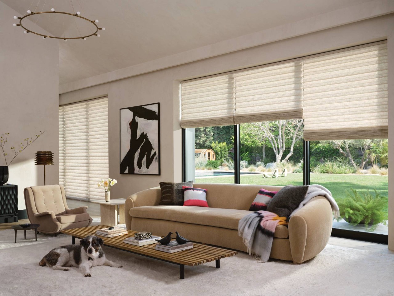 Large dog laying on the floor of a living room with Hunter Douglas Duette® Cellular Shades | Dale's AAA Blind Factory